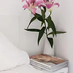 Near Brandenburg Gate - & Hostel *